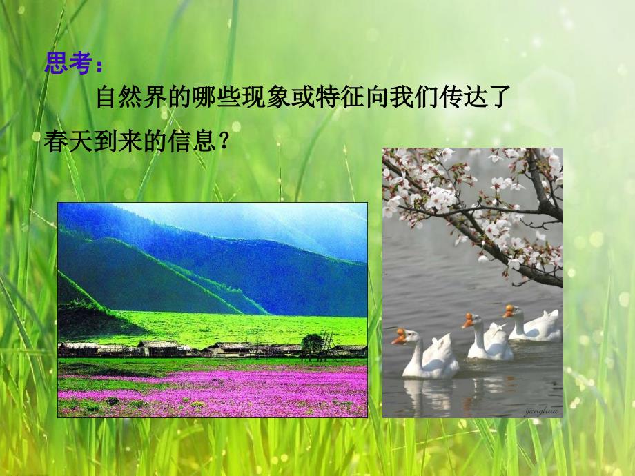 天的畅想PPT课件.ppt_第2页
