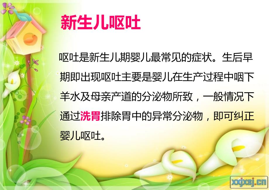 新生儿洗胃篇PPT课件.ppt_第2页