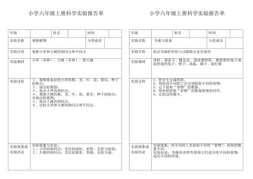 小学科学六年级上册实验报告单.doc