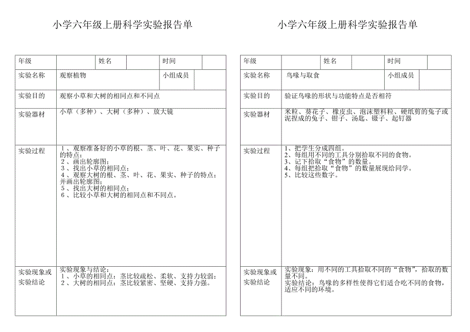 小学科学六年级上册实验报告单.doc_第1页
