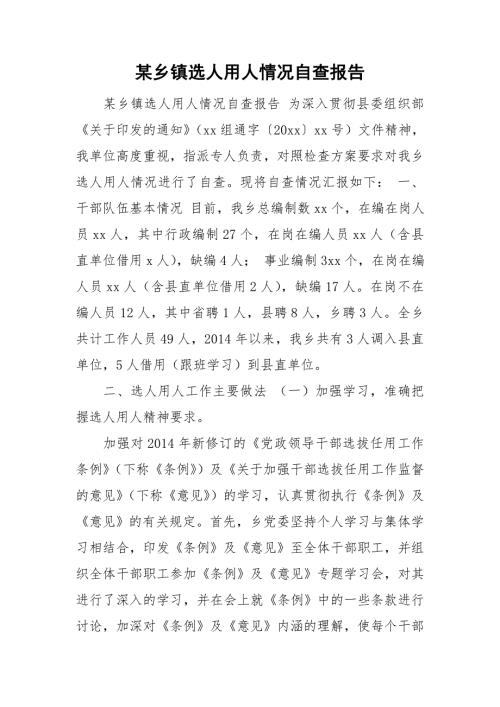 某乡镇选人用人情况自查报告.doc