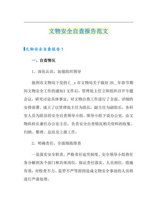 文物安全自查报告范文.doc