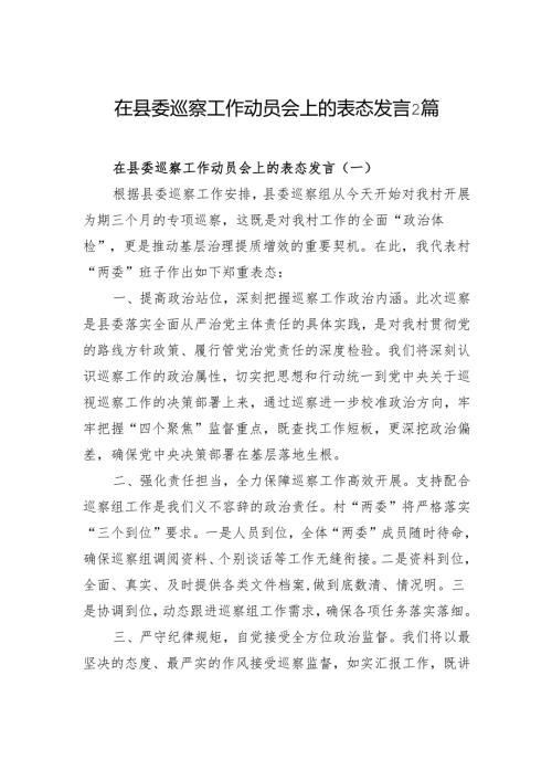 在县委巡察工作动员会上的表态发言2篇.docx