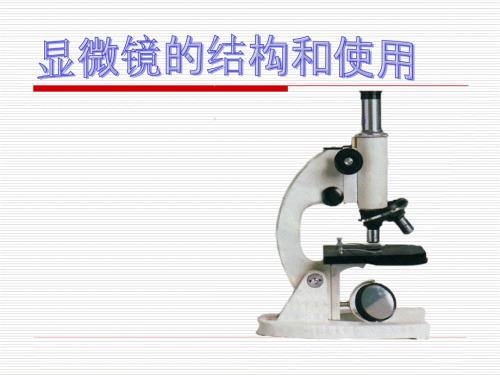 显微镜的使用PPT课件.ppt