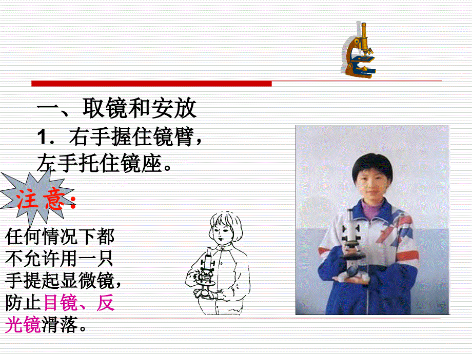 显微镜的使用PPT课件.ppt_第3页