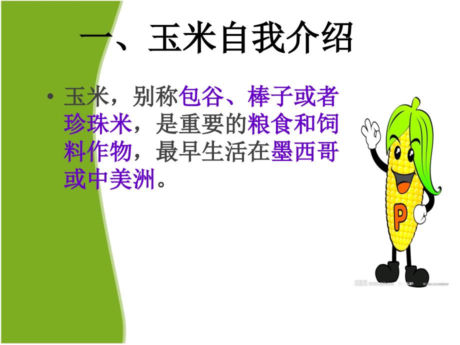 玉米高产栽培技术PPT课件.ppt_第3页