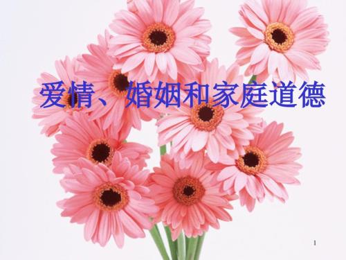 恋爱婚姻和家庭道德ppt课件.ppt