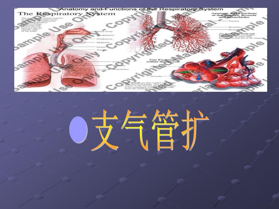 支气管扩张症护理查房.ppt_第1页