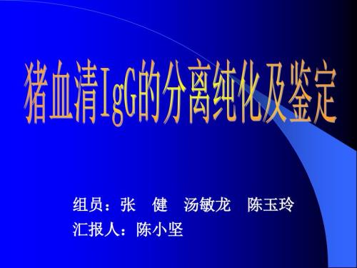 猪血清IgG的分离纯化及鉴定.ppt
