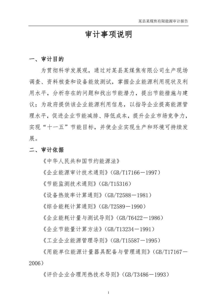 某县某煤焦有限能源审计报告范本.doc_第1页