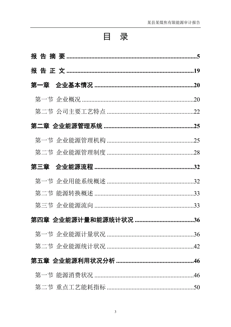 某县某煤焦有限能源审计报告范本.doc_第3页