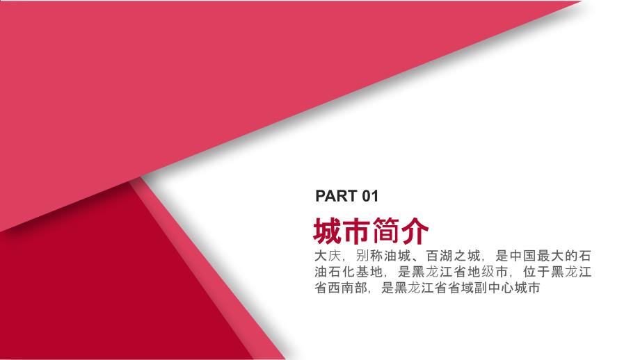 我的家乡大庆大庆城市介绍.ppt_第2页