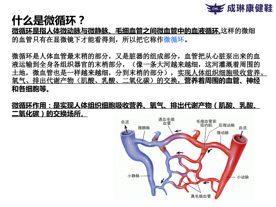 微循环和甲壁微循环检测仪学习.ppt_第3页