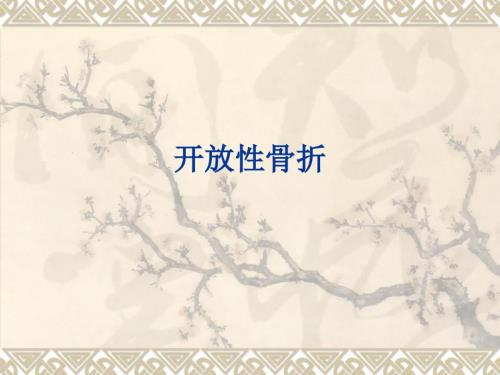 开放性骨折PPT课件.ppt