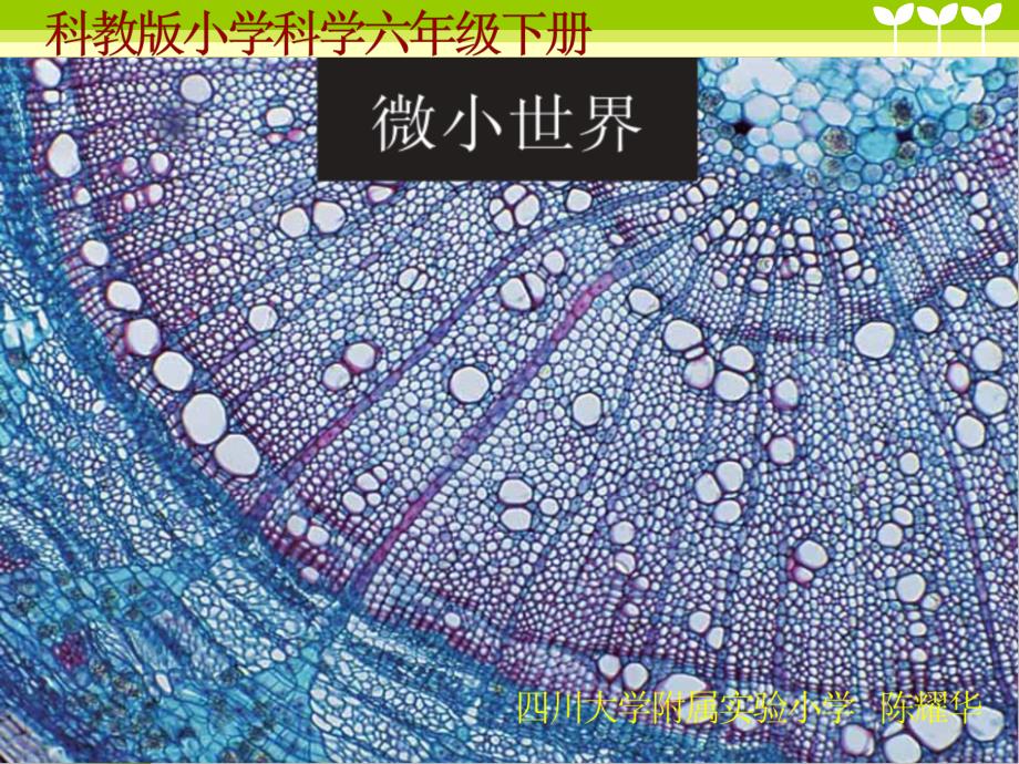 放大镜课件.ppt_第1页
