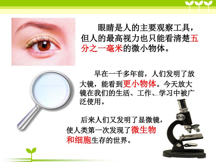 放大镜课件.ppt_第2页