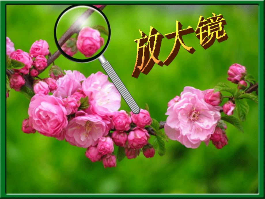 放大镜课件.ppt_第3页