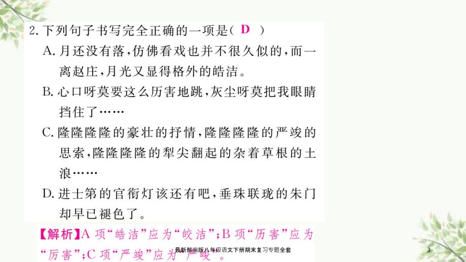 最新部编版八年级语文下册期末复习专题全套课件.ppt_第3页