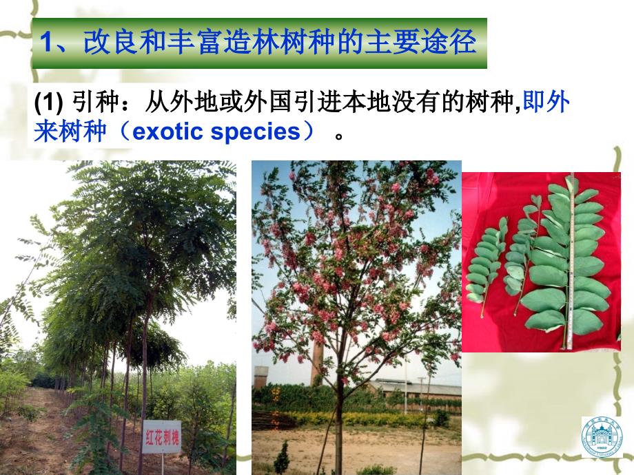 林木育种学PPT课件.ppt_第3页
