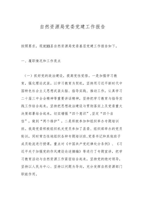 自然资源局党委党建工作报告.docx
