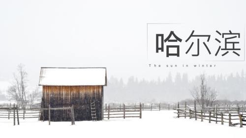 我的家乡哈尔滨PPT课件.ppt