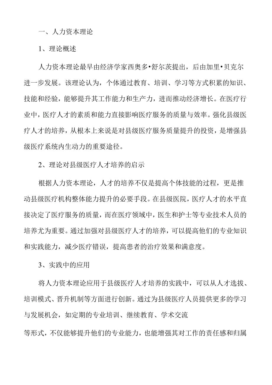 提升县级医疗人才培养的策略与实施路径.docx_第3页