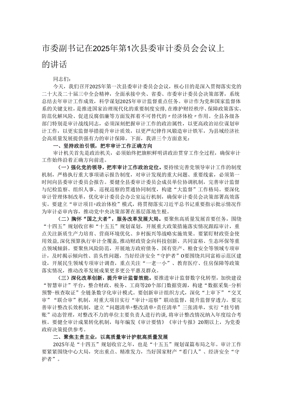 市委副书记在2025年第1次县委审计委员会会议上的讲话.docx_第1页