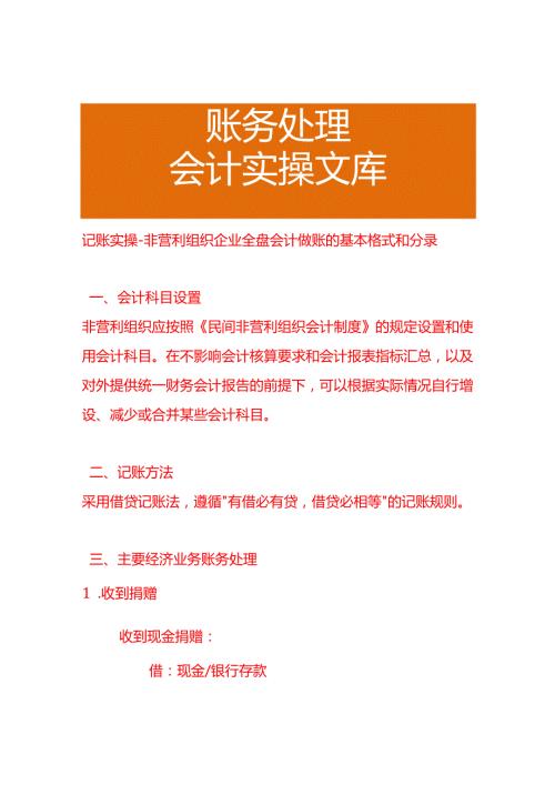 记账实操非营利组织企业全盘会计做账的基本格式和分录.docx