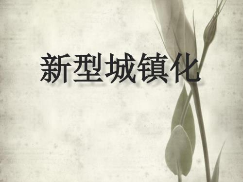 新型城镇化PPT课件.ppt