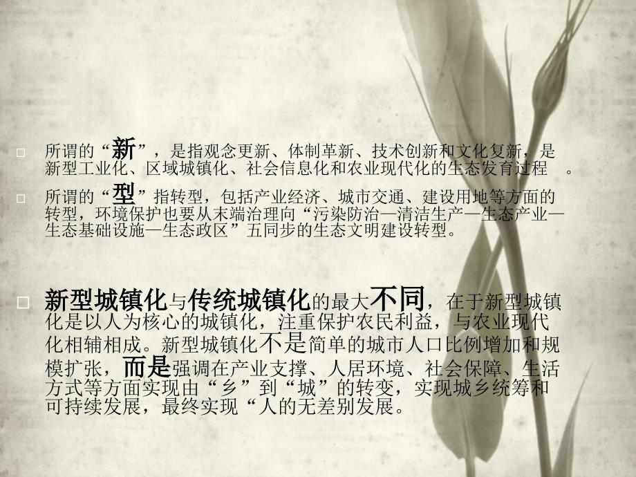 新型城镇化PPT课件.ppt_第3页