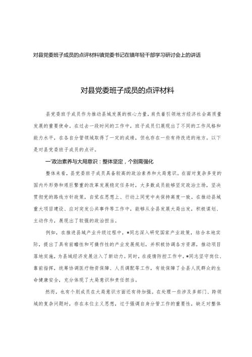 2025年对县党委班子成员的点评材料+镇党委书记在镇年轻干部学习研讨会上的讲话.docx