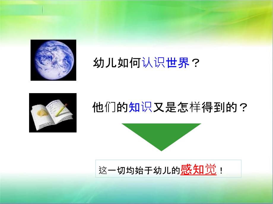 幼儿感知觉的发展.ppt_第2页