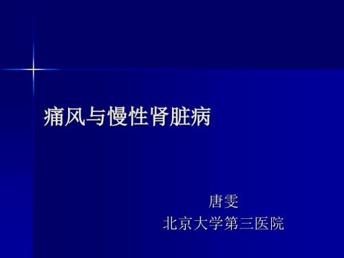 痛风与慢性肾脏病.ppt