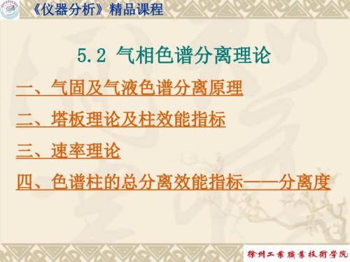 气相色谱分离理论一气固及气液色谱分离原理二塔板.ppt