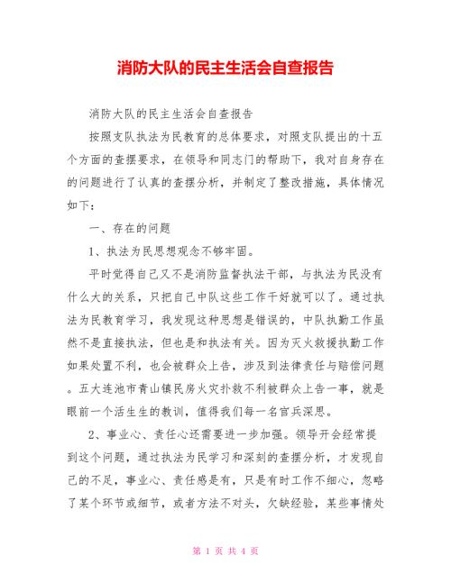 消防大队的民主生活会自查报告.doc