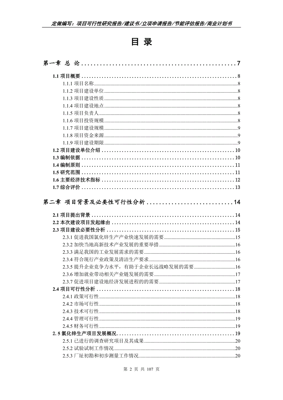 氯化锌生产项目可行性研究报告立项申请.doc_第2页