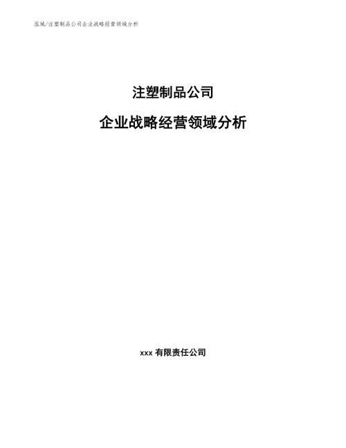 注塑制品公司企业战略经营领域分析范文.docx