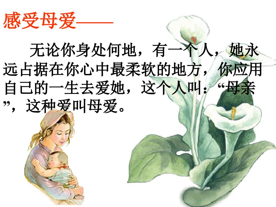 感恩父母主题班会ppt课件.ppt_第3页