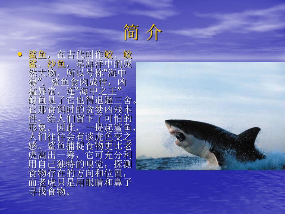 海中霸王鲨鱼PPT课件.ppt_第2页