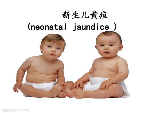 新生儿黄疸护理PPT课件.ppt