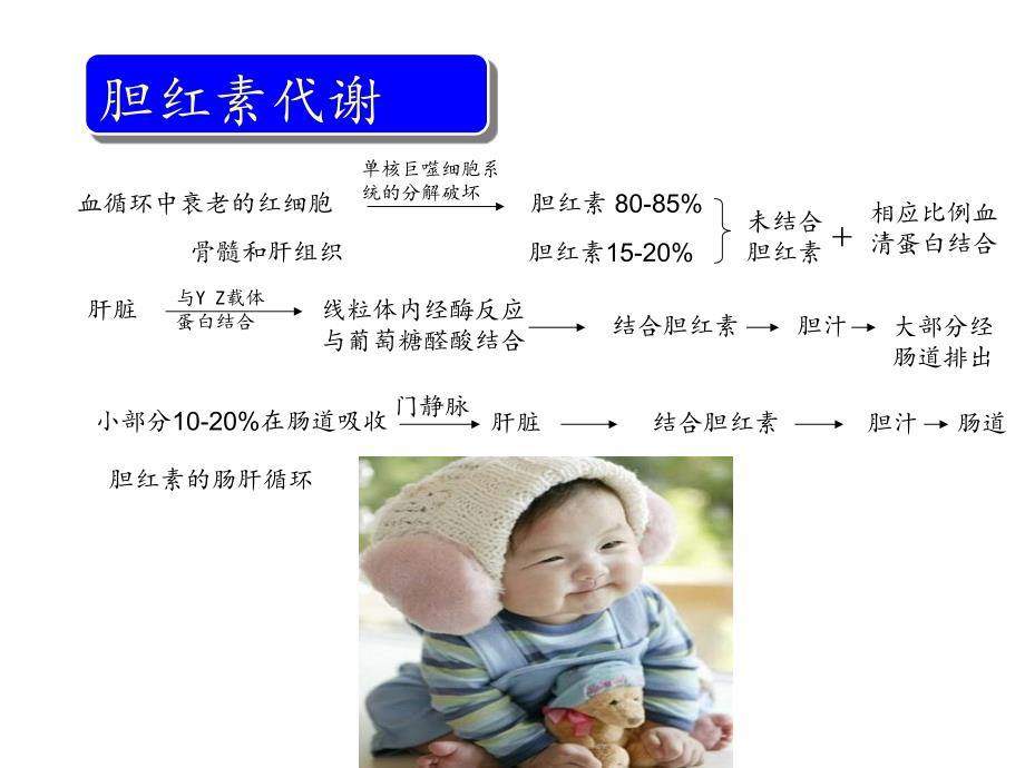 新生儿黄疸护理PPT课件.ppt_第3页