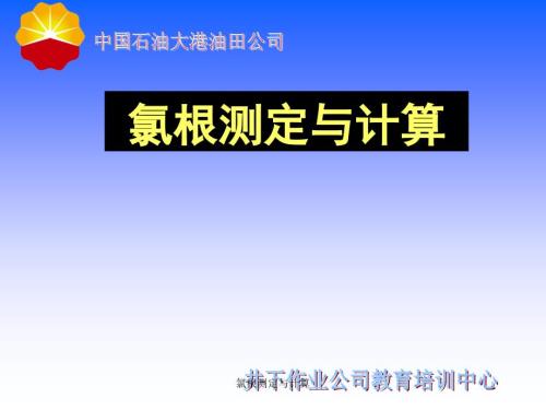 氯根测定与计算.ppt