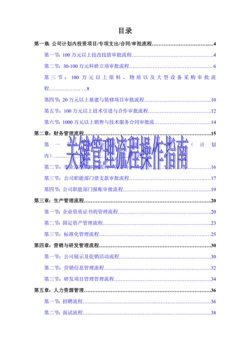 某公司关键管理流程指南.docx