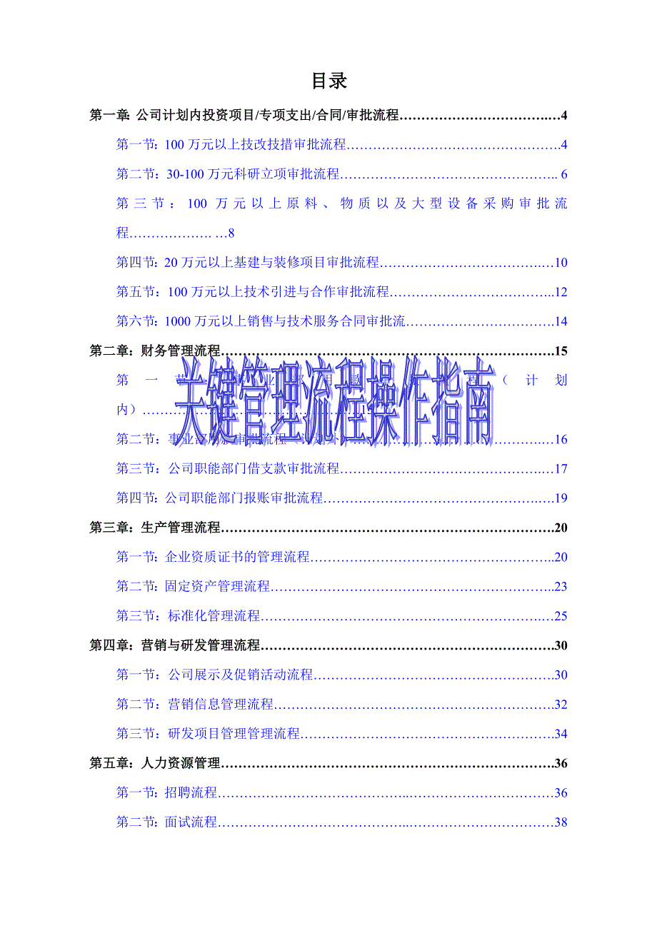 某公司关键管理流程指南.docx_第1页