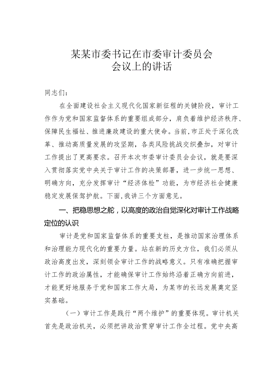 某某市委书记在市委审计委员会会议上的讲话.docx_第1页