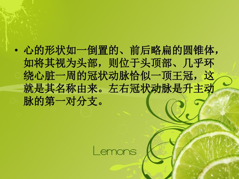 心脏冠状动脉解剖课件.ppt_第2页