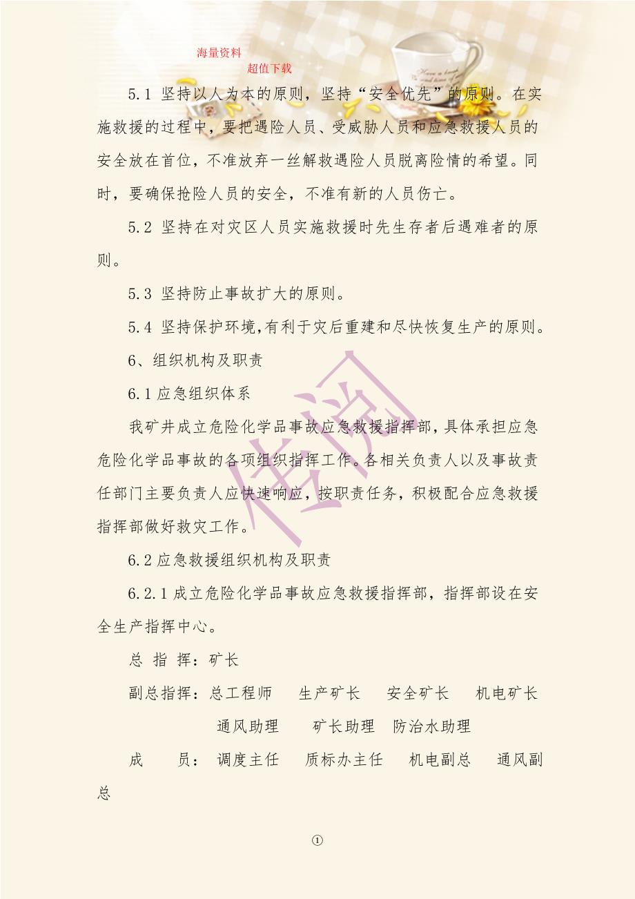 煤矿危险化学品事故应急救援预案.doc_第2页
