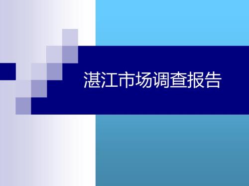 广东湛江房地产市场调查报告.ppt