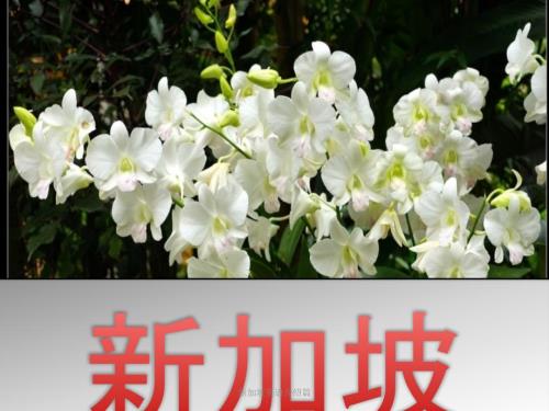 新加坡英语介绍篇.pptx
