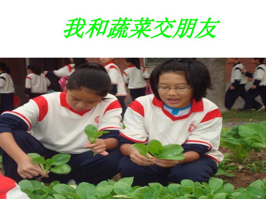 我和蔬菜交朋友小学三年级综合实践课.ppt_第1页